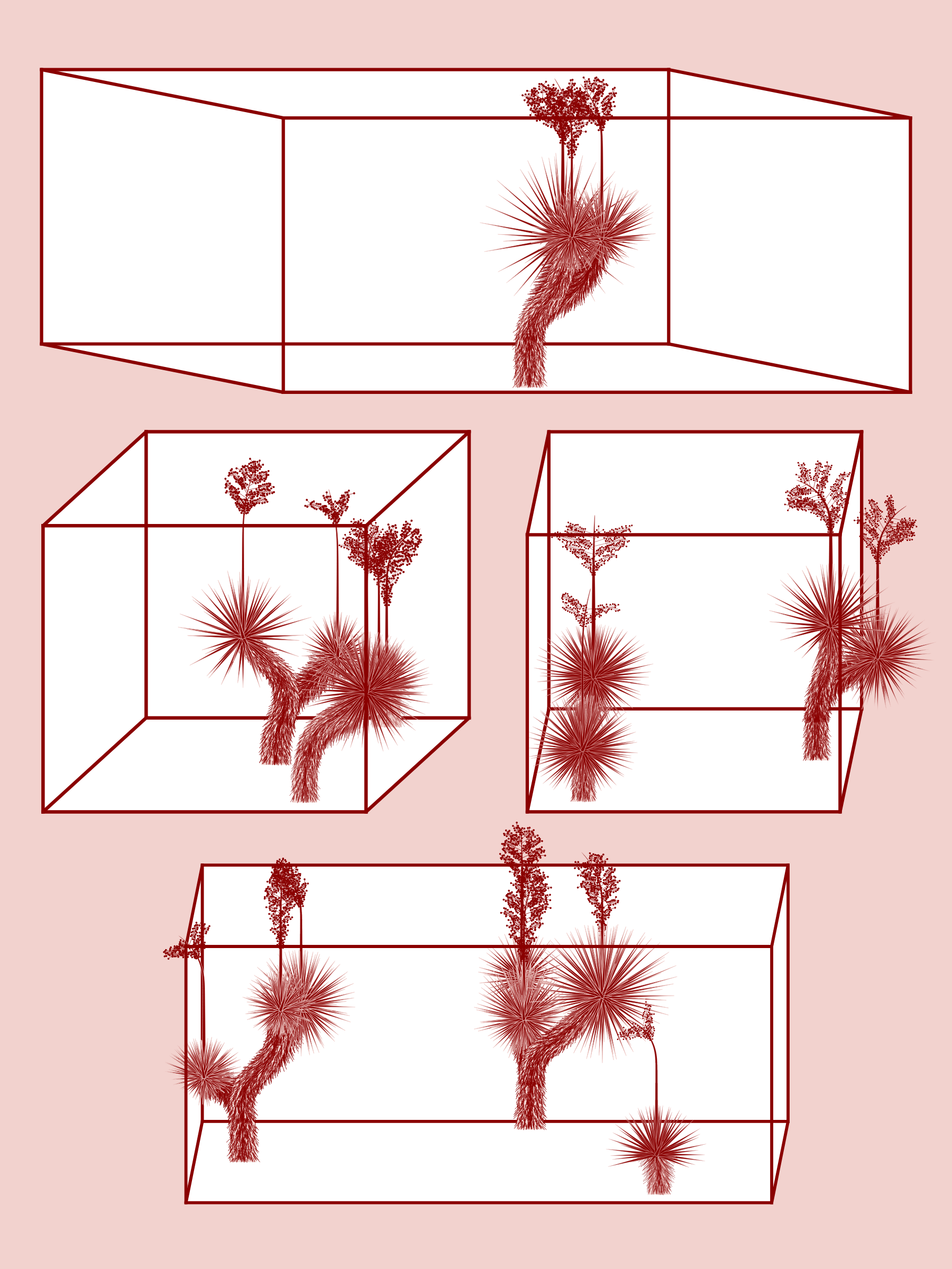 Marfa Yucca #3