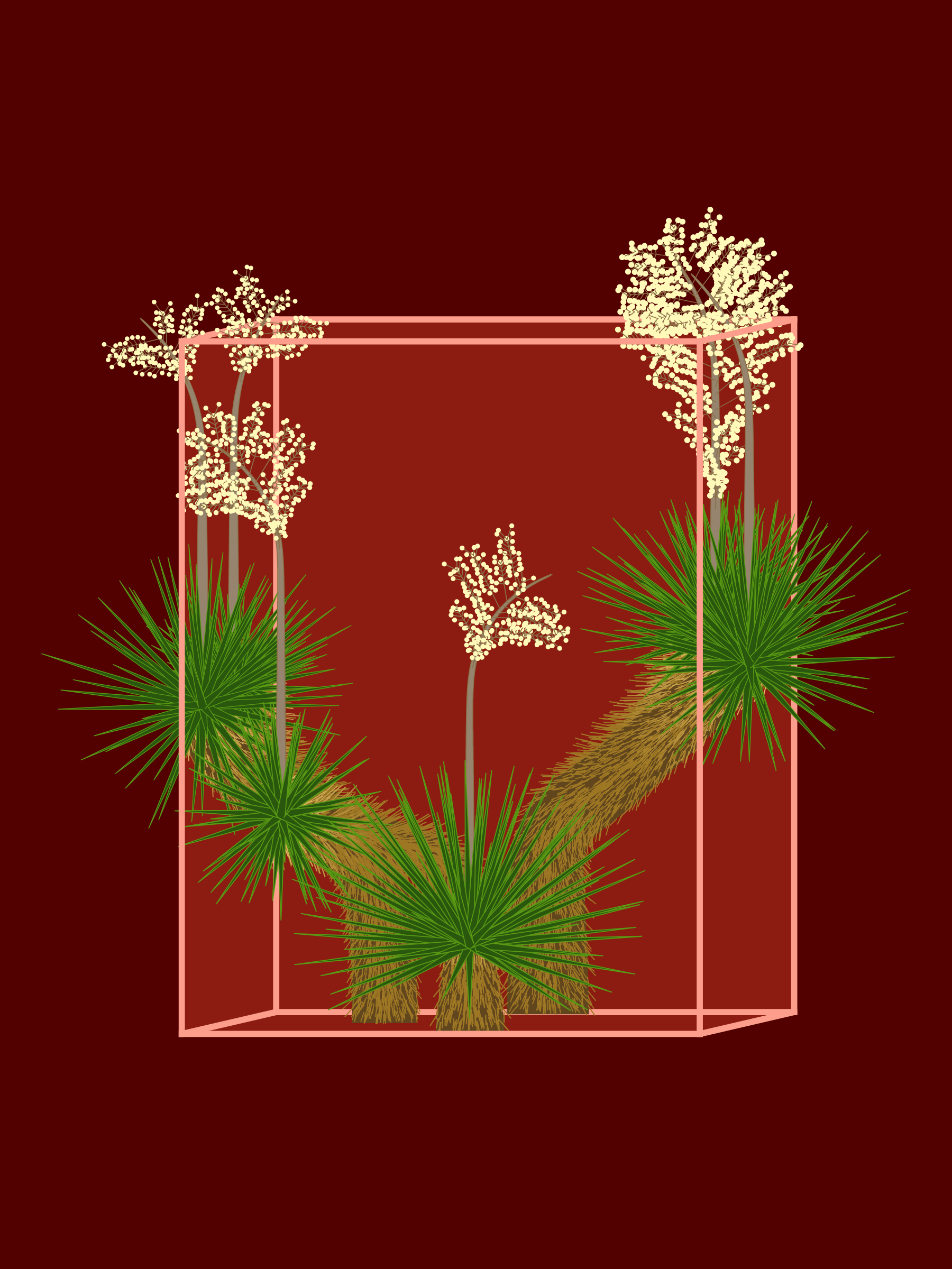 Marfa Yucca #16