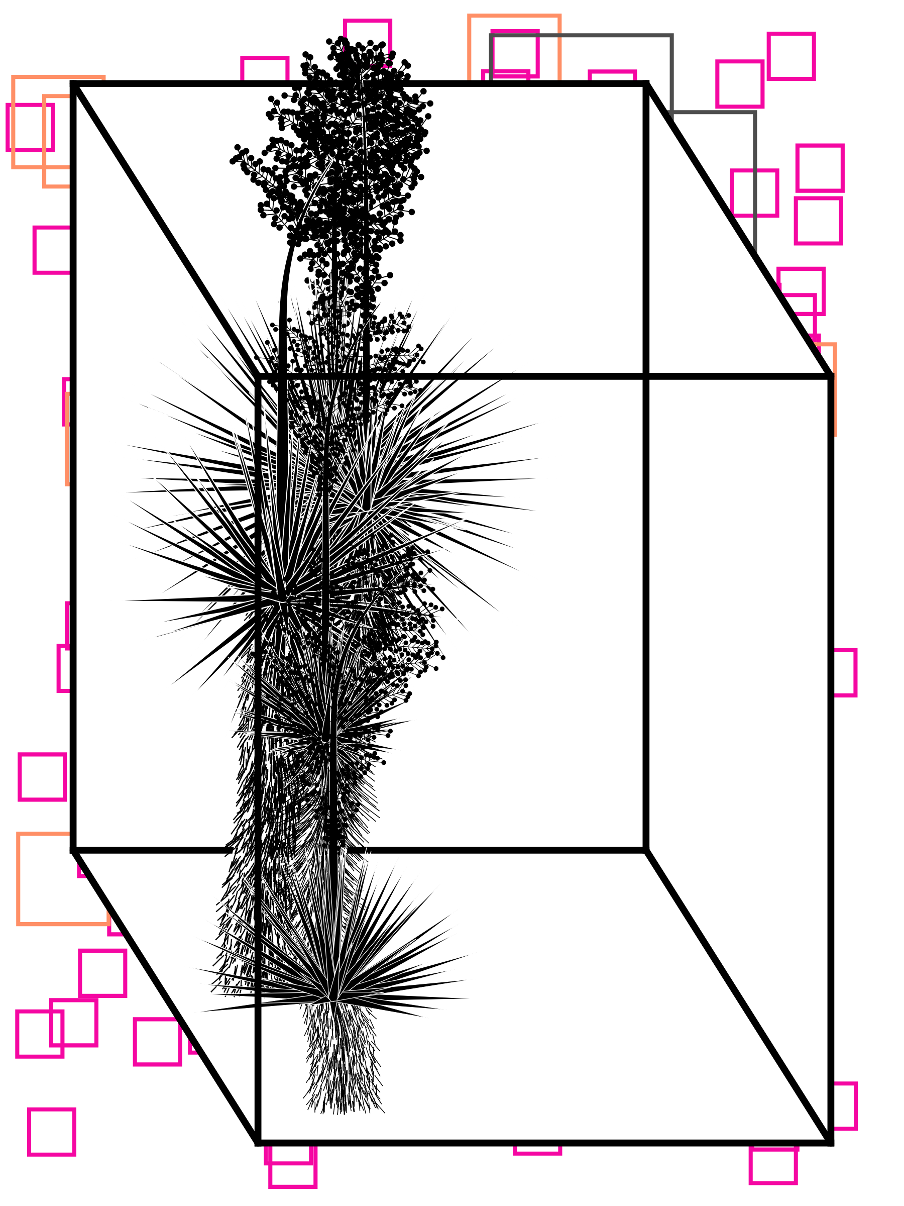 Marfa Yucca #37