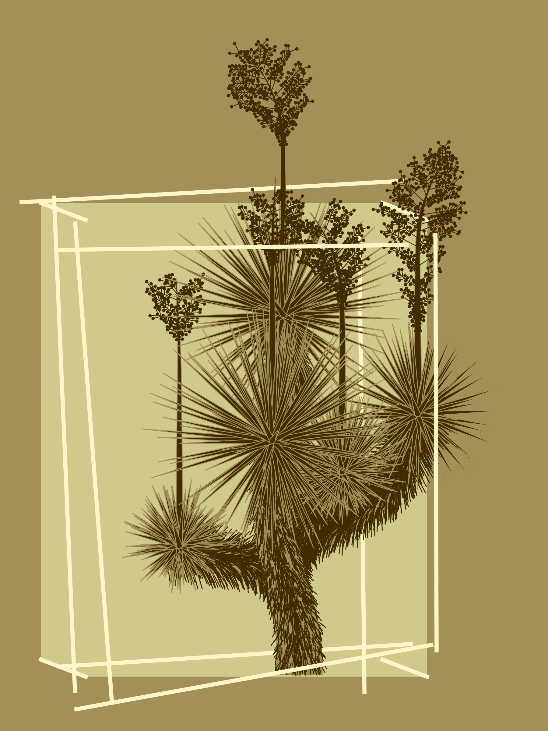Marfa Yucca #73