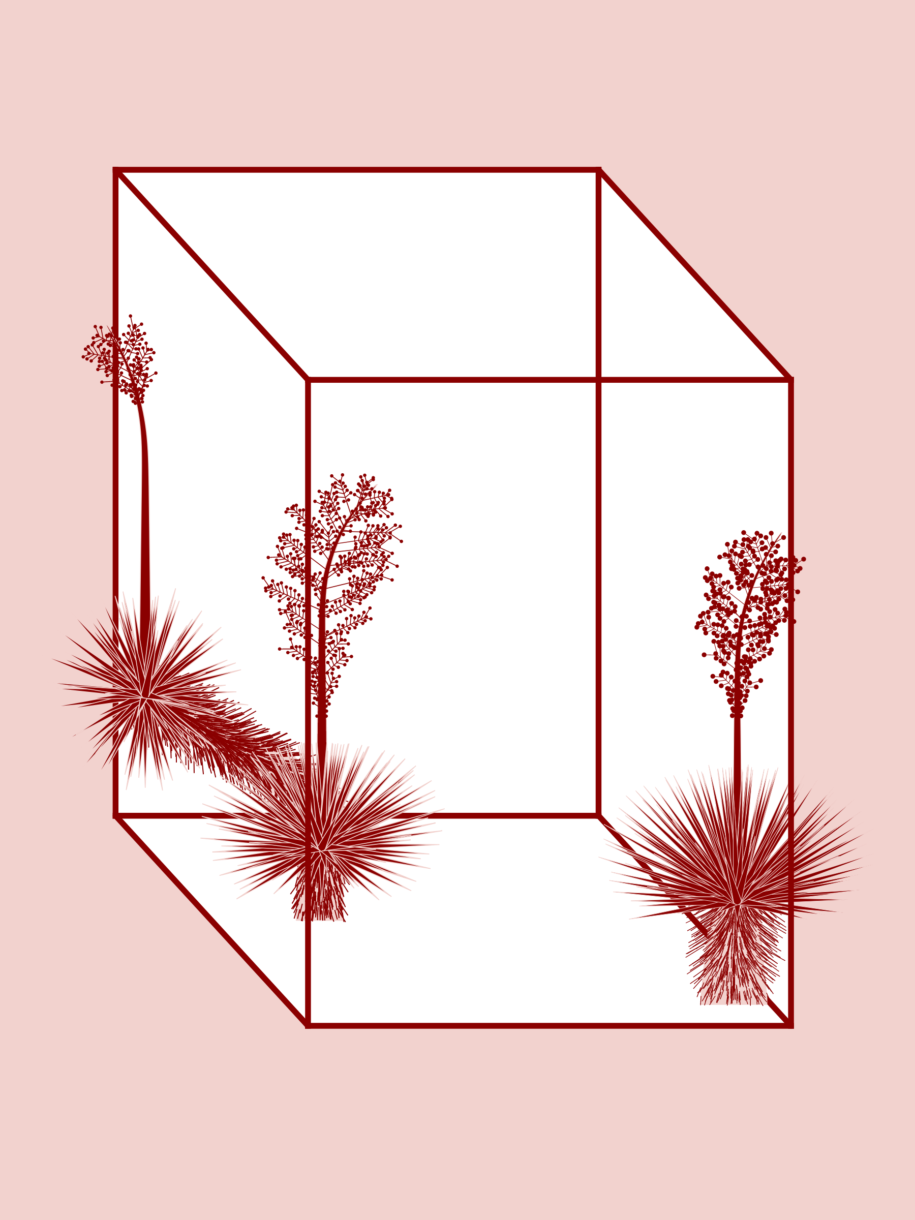 Marfa Yucca #96
