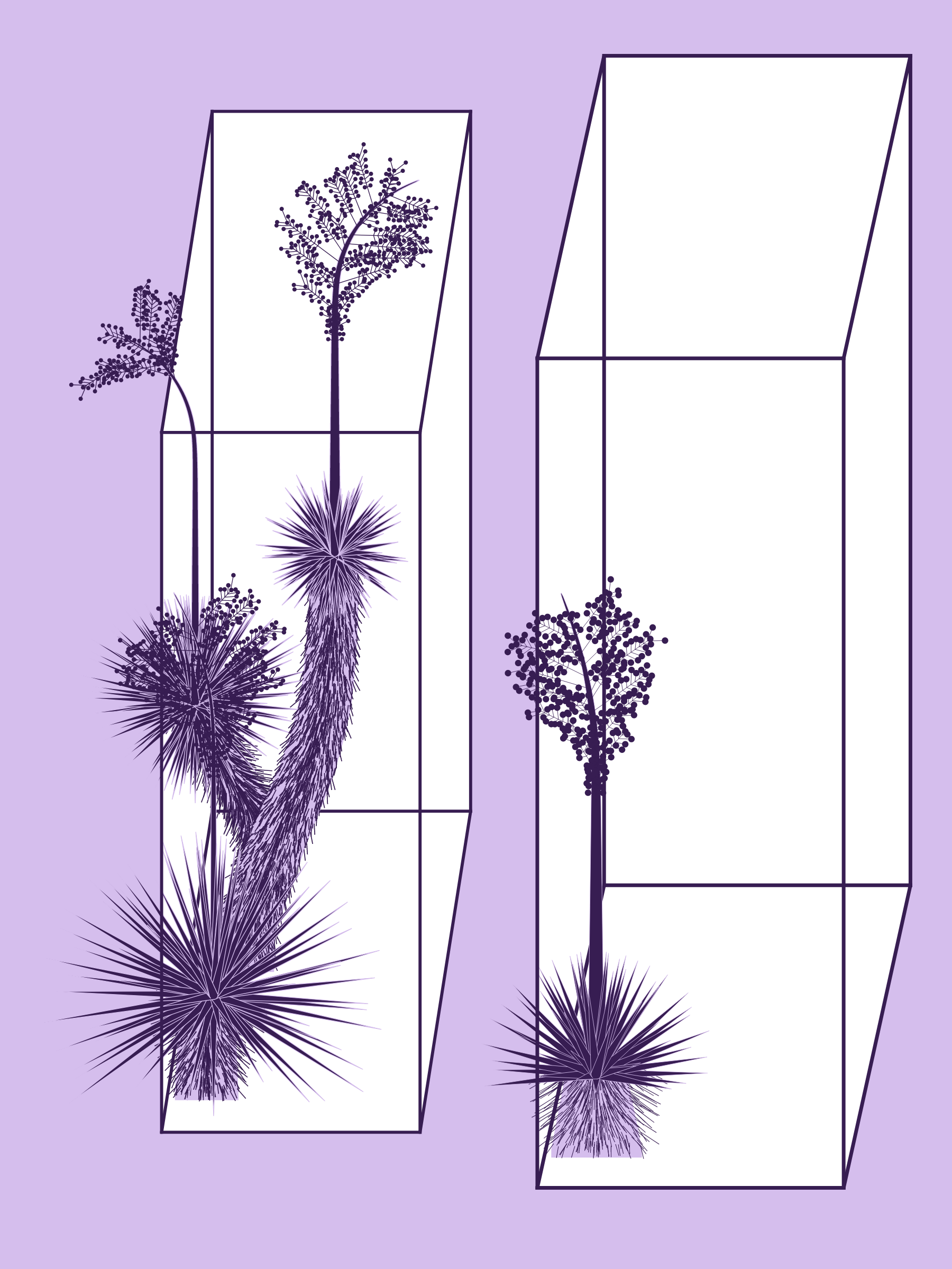 Marfa Yucca #118