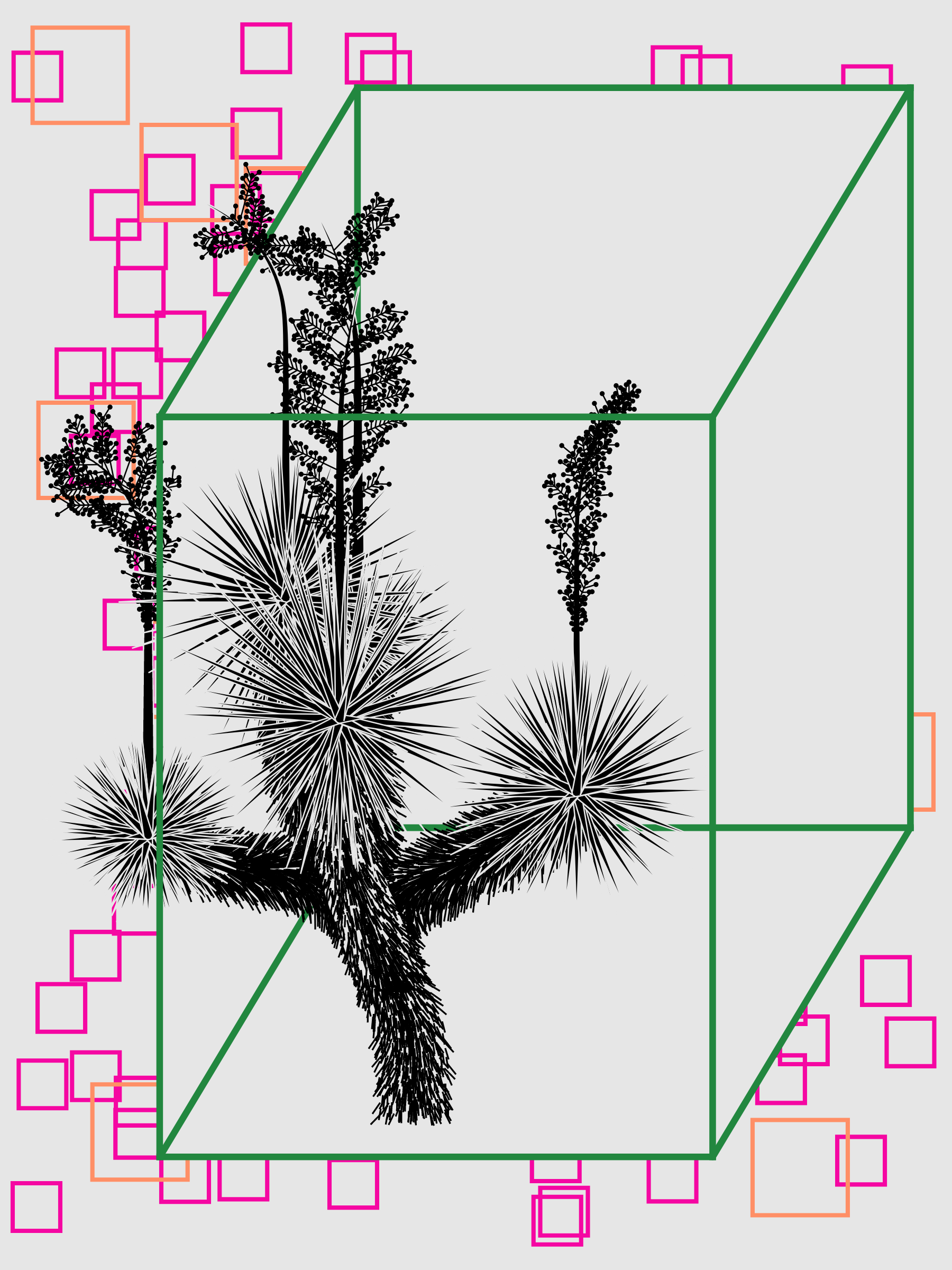 Marfa Yucca #137
