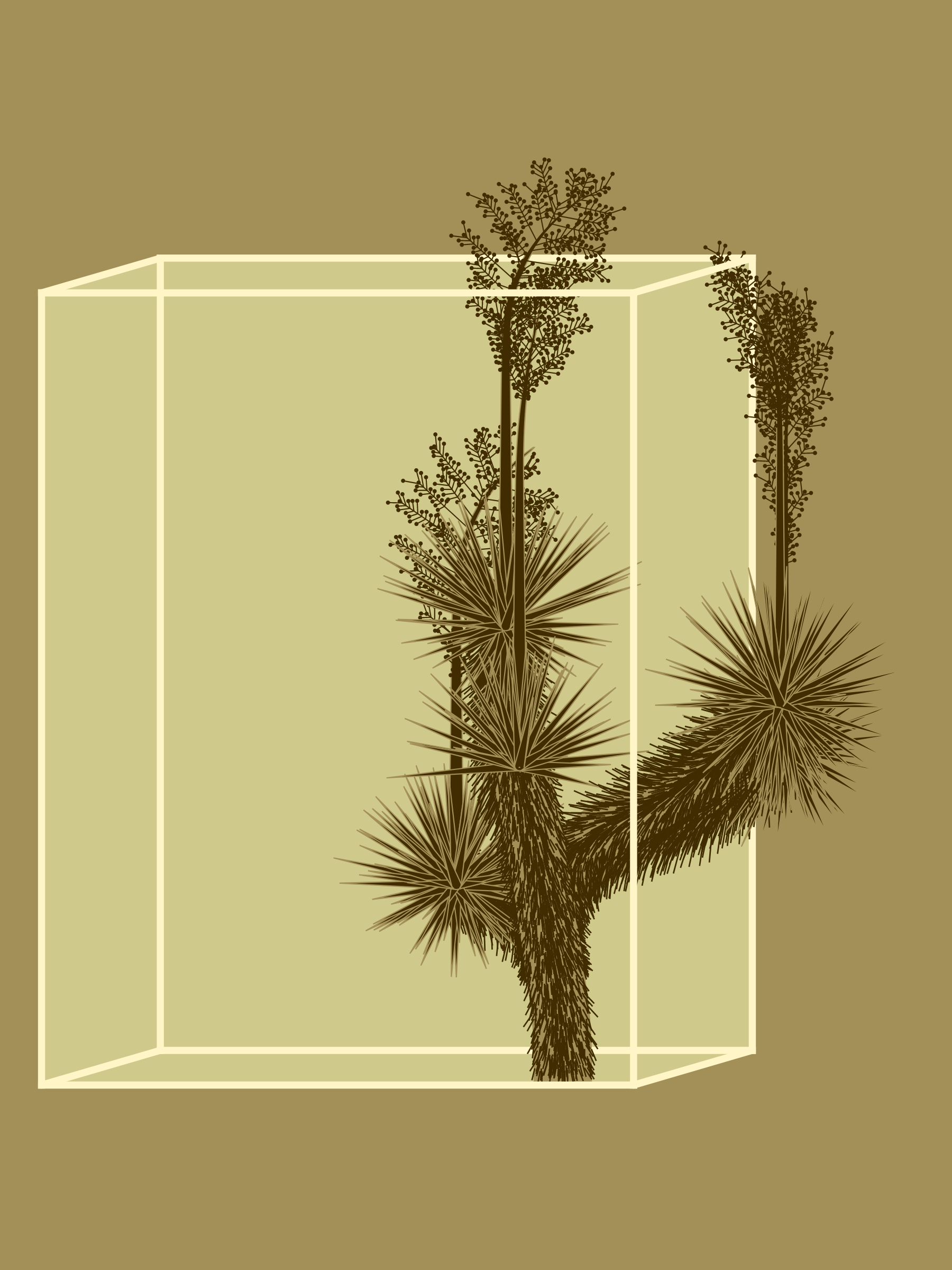 Marfa Yucca #141