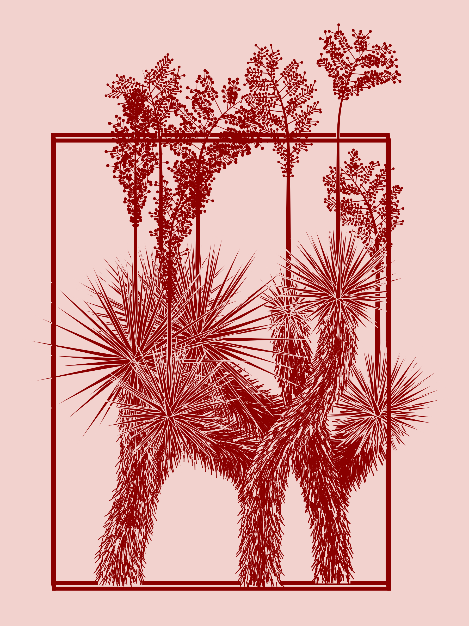 Marfa Yucca #187