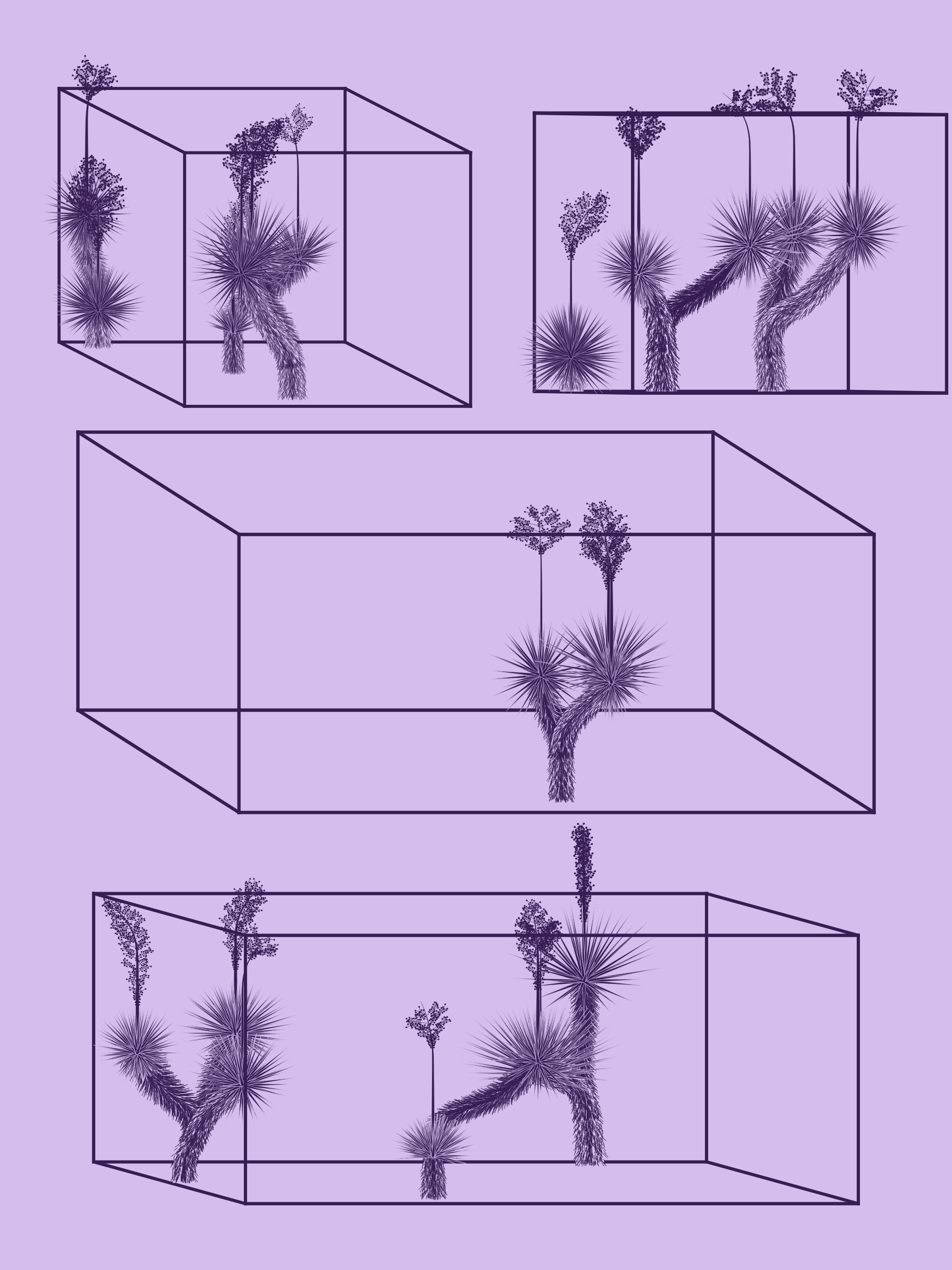 Marfa Yucca #223