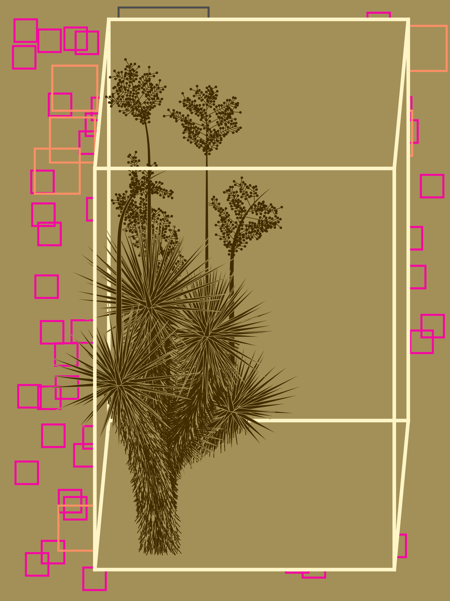 Marfa Yucca #233