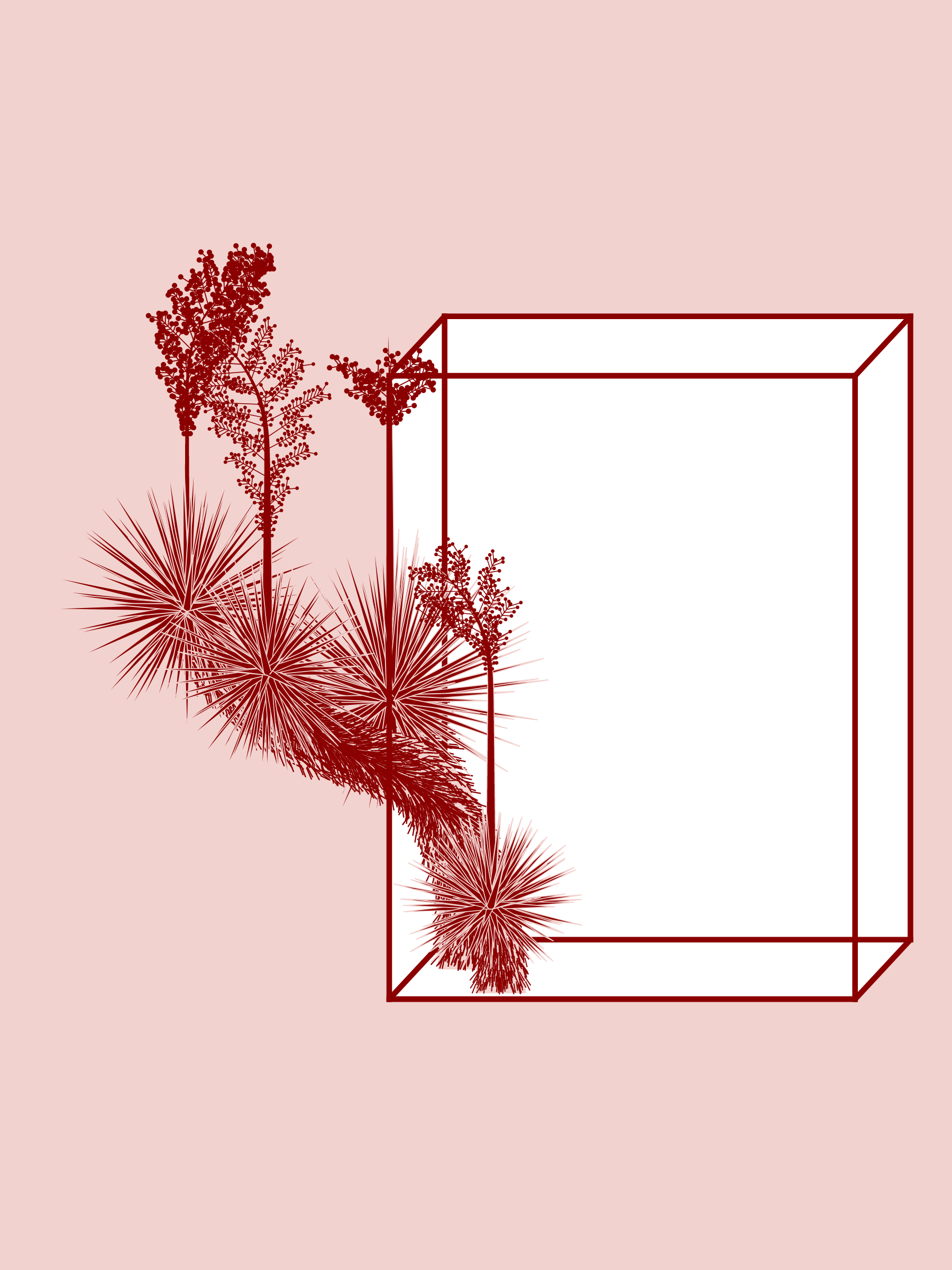 Marfa Yucca #251