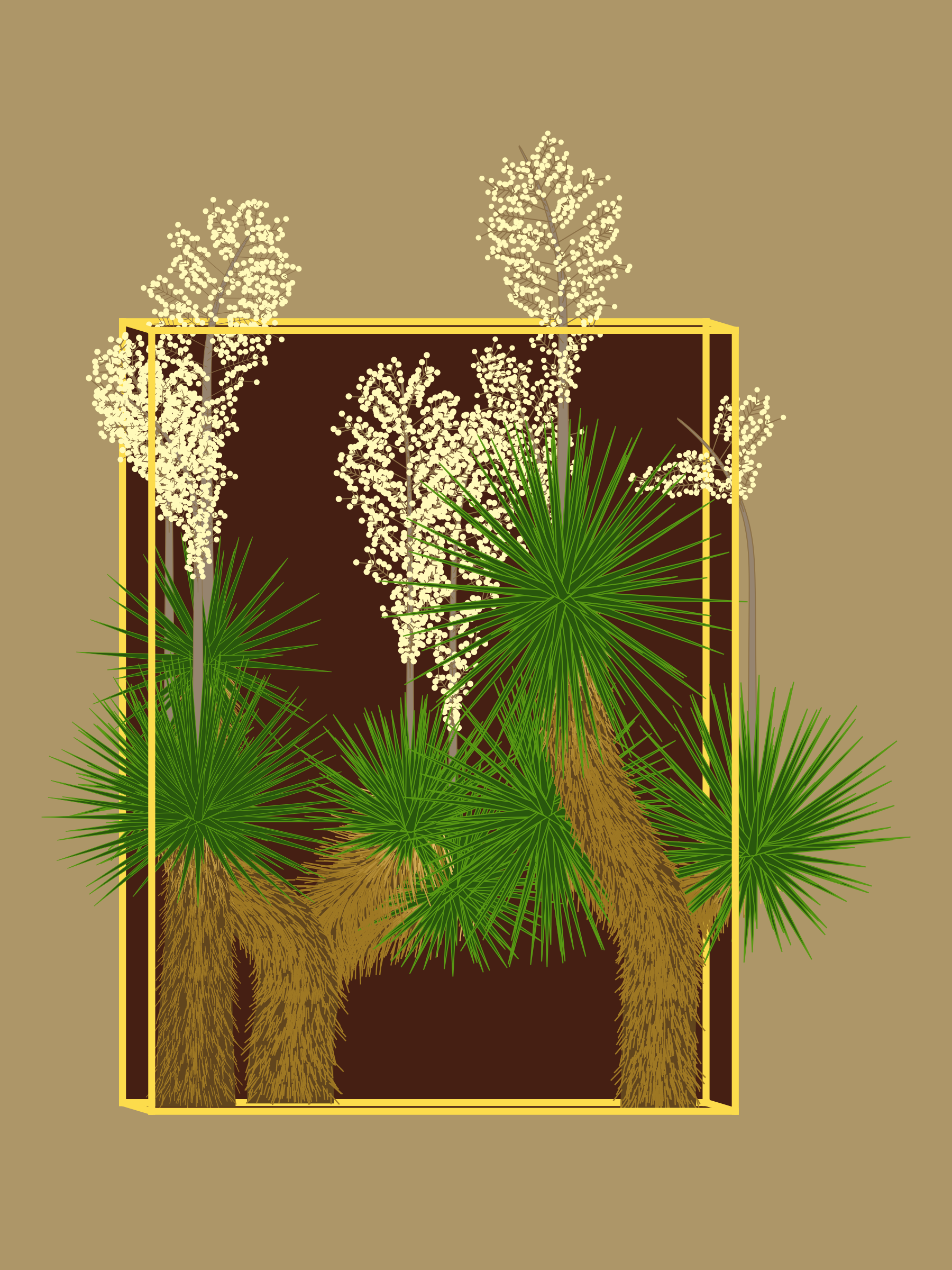 Marfa Yucca #261