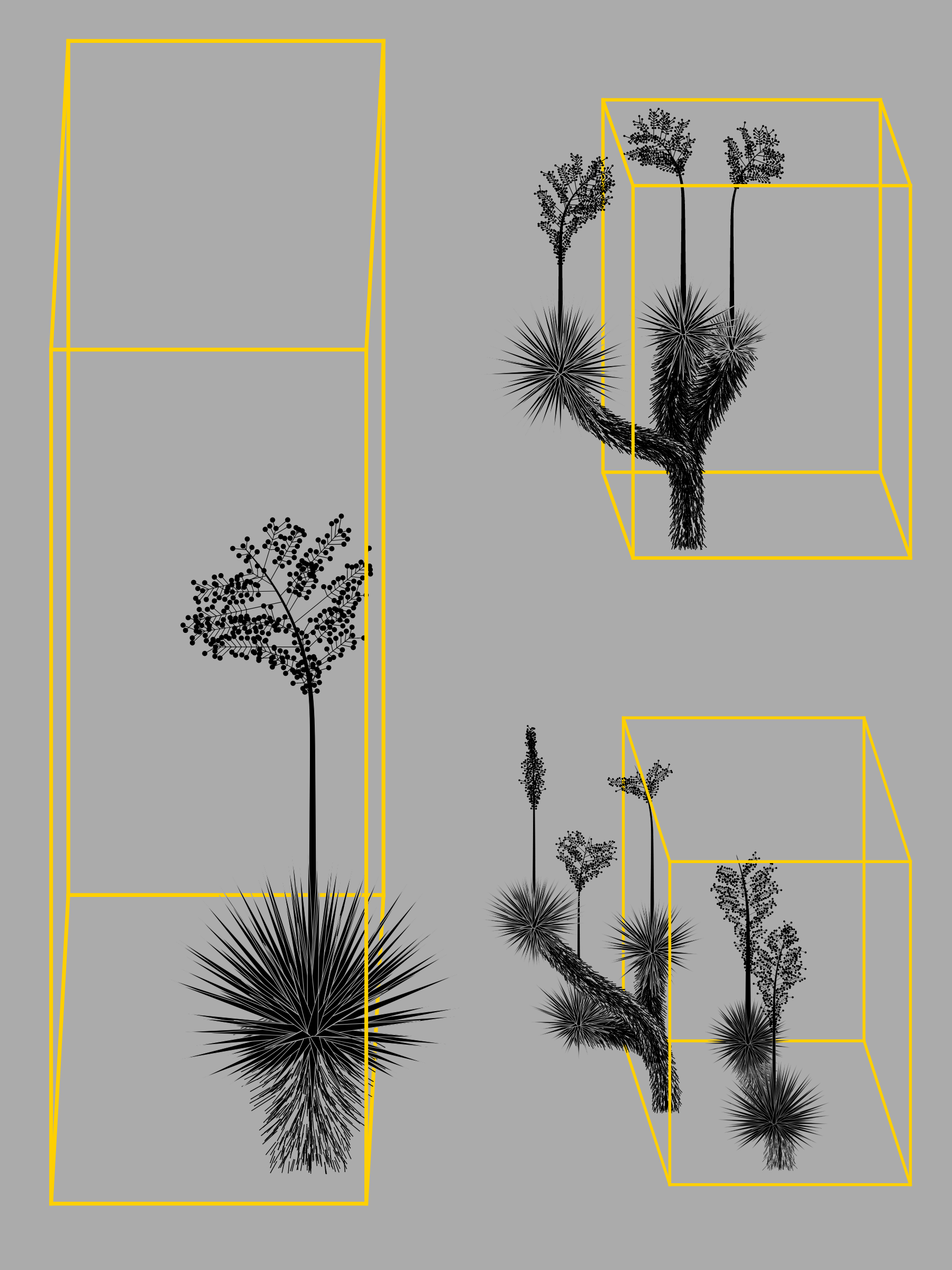 Marfa Yucca #303