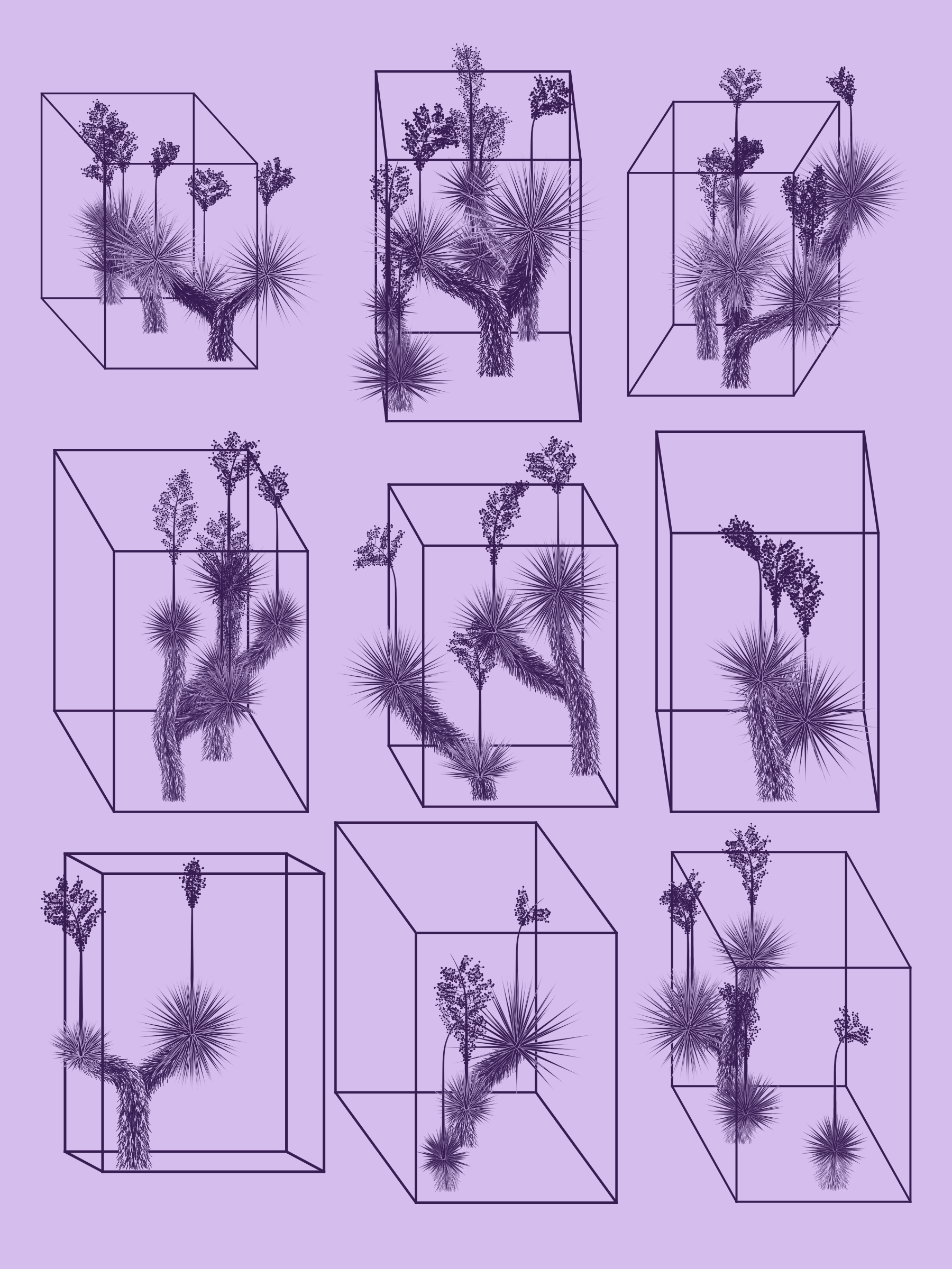 Marfa Yucca #323