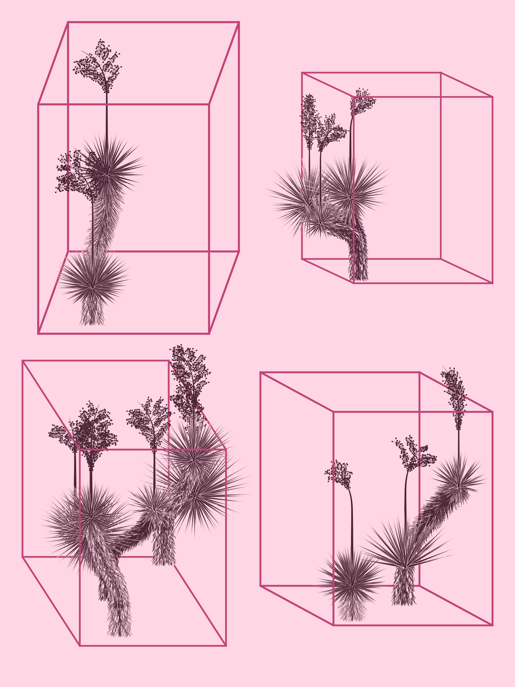 Marfa Yucca #330