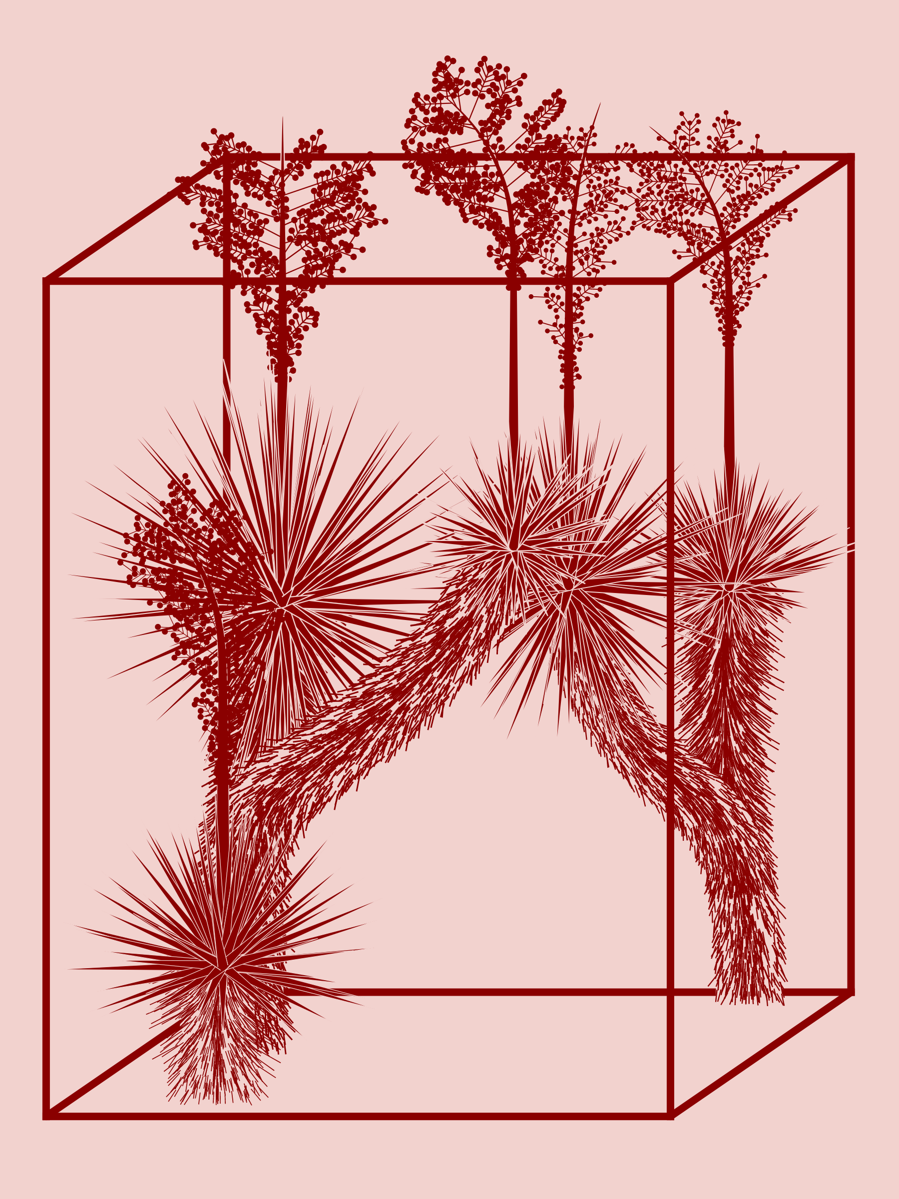 Marfa Yucca #343