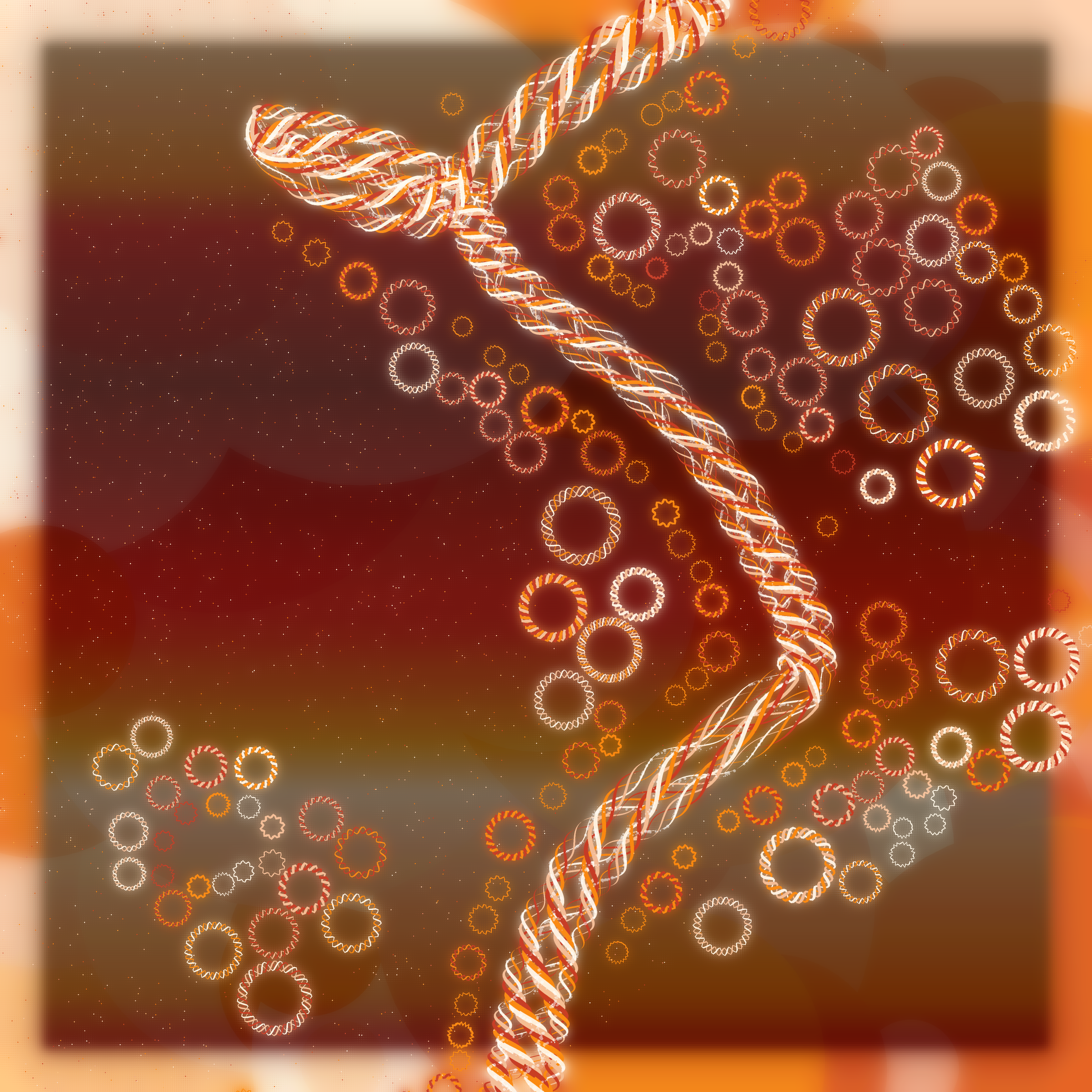 Friendship Bracelets #14272