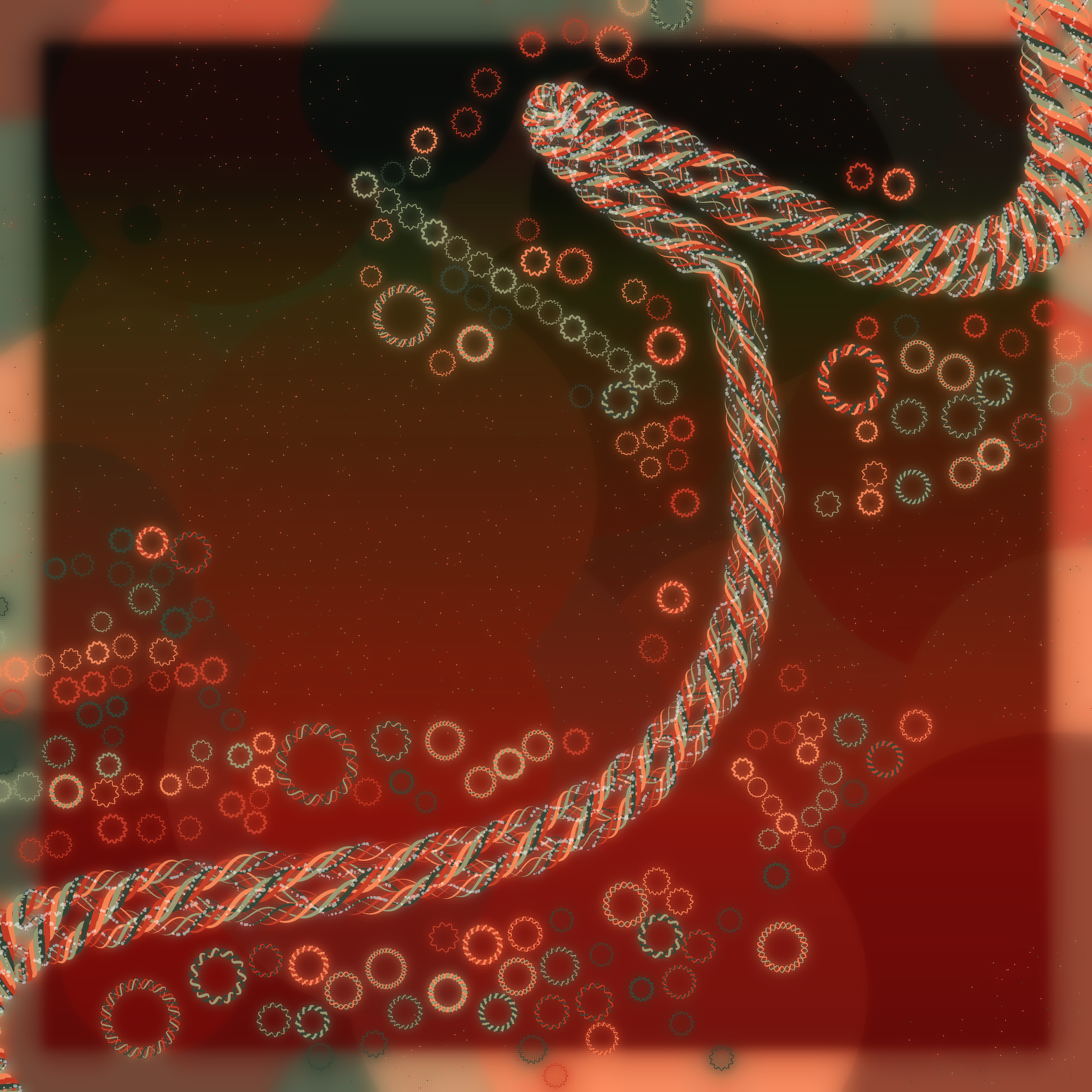 Friendship Bracelets #31986